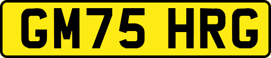 GM75HRG