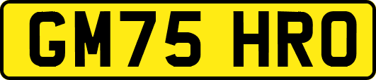 GM75HRO