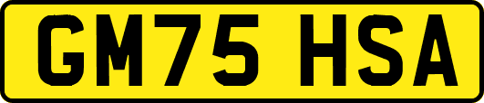 GM75HSA