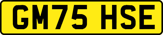 GM75HSE