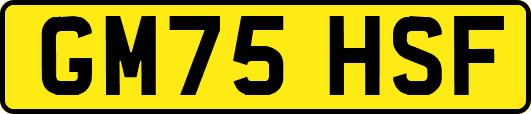 GM75HSF