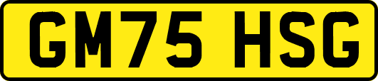 GM75HSG