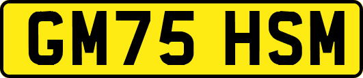 GM75HSM