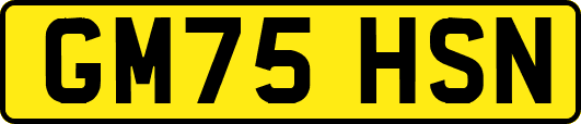 GM75HSN
