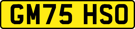 GM75HSO