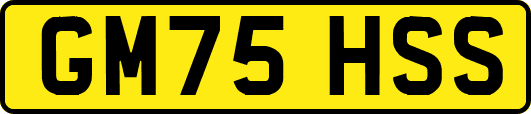 GM75HSS