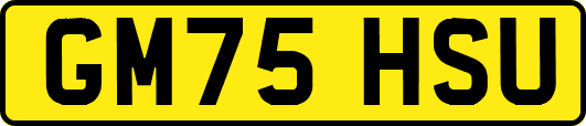 GM75HSU