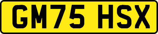 GM75HSX