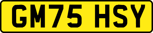 GM75HSY