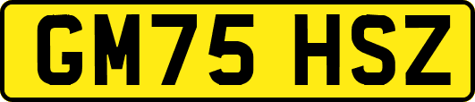 GM75HSZ