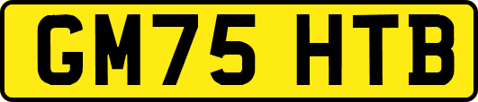 GM75HTB