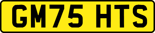 GM75HTS
