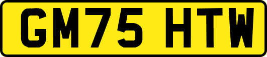 GM75HTW