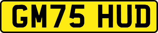 GM75HUD