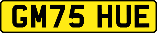 GM75HUE