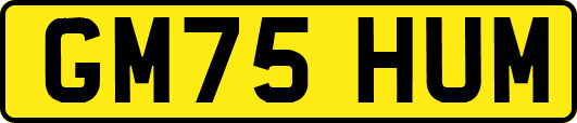 GM75HUM