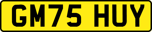 GM75HUY