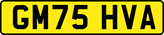 GM75HVA