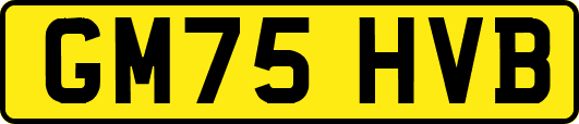 GM75HVB