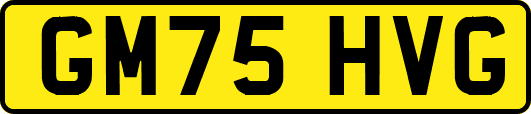 GM75HVG