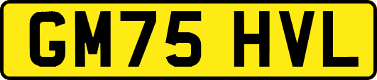 GM75HVL