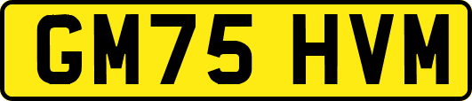 GM75HVM