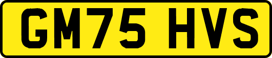 GM75HVS