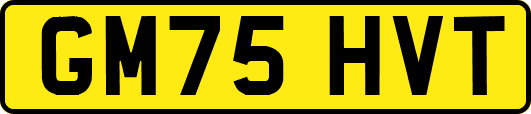 GM75HVT