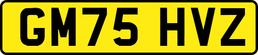 GM75HVZ