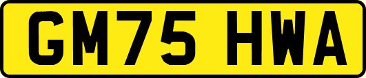 GM75HWA