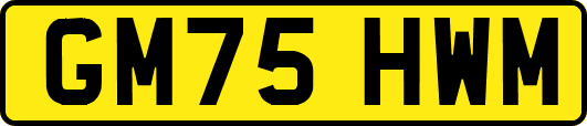 GM75HWM