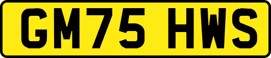 GM75HWS