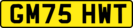 GM75HWT