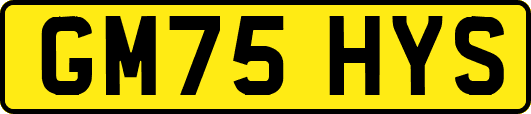 GM75HYS