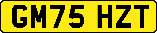 GM75HZT