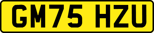 GM75HZU