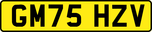 GM75HZV