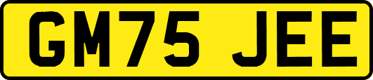 GM75JEE