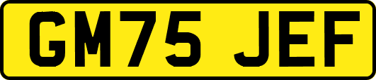 GM75JEF