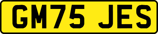 GM75JES