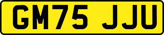 GM75JJU