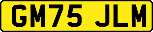 GM75JLM