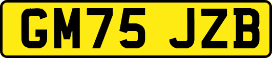 GM75JZB