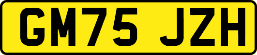 GM75JZH