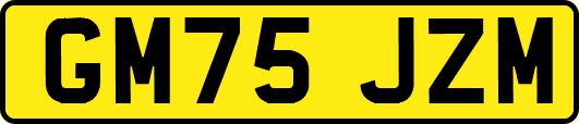 GM75JZM