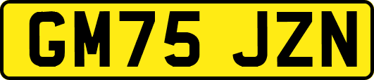 GM75JZN