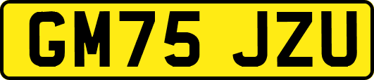 GM75JZU