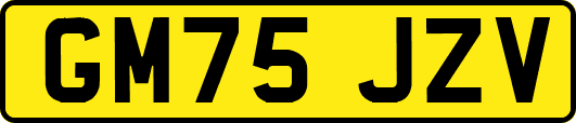 GM75JZV