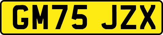 GM75JZX