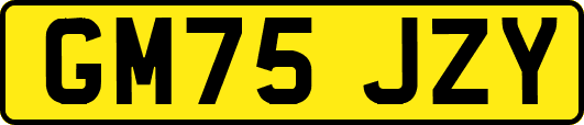 GM75JZY